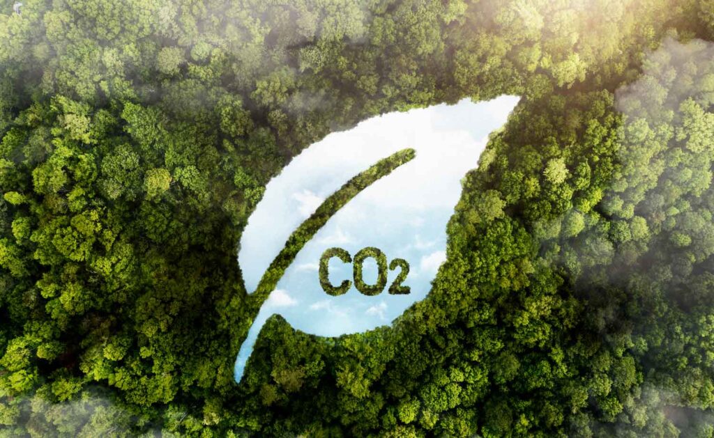 Grand forêt et son lac en forme de feuille avec inscrit CO2